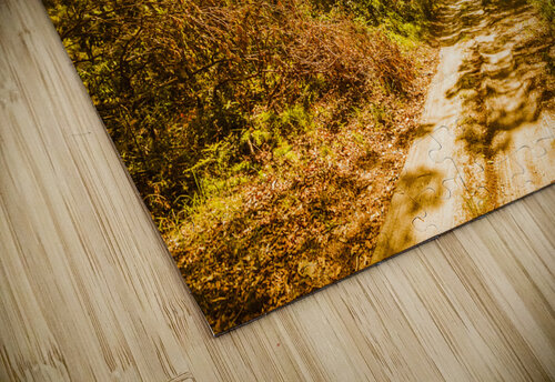 Nth Stradbroke Is. Jorgo puzzle