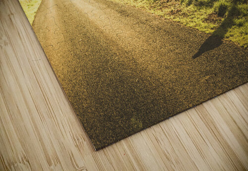 Fielded adventure Jorgo puzzle