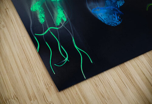 Movement in motions Jorgo puzzle