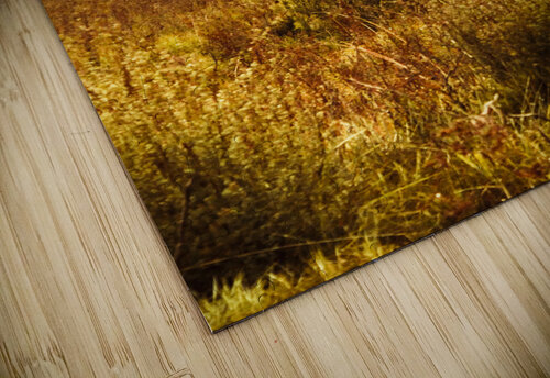 Mt Gell. Tasmania national park of Franklin Gordon Jorgo puzzle