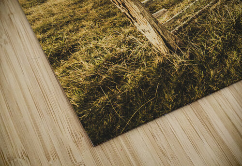 Rustic and weathered farm view  Jorgo puzzle