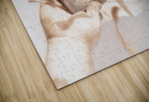 Smart phone catching a serene autumn landscape Jorgo puzzle