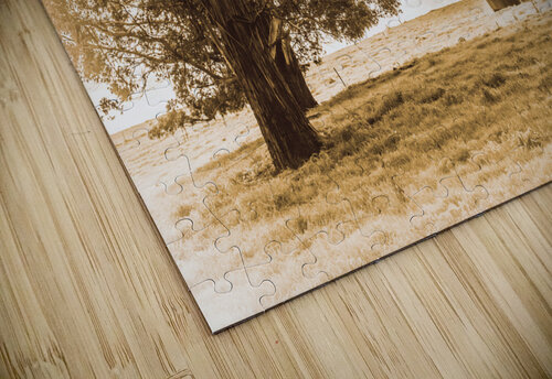 Old farmstead shack Jorgo puzzle