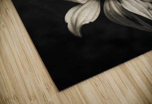 Floral elegance Jorgo puzzle