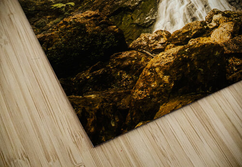 River Rush Jorgo puzzle