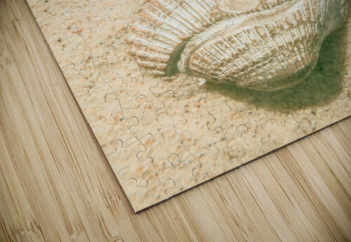 Pastel pacific Jorgo puzzle