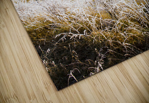 Fairytale winter in Fingal Jorgo puzzle