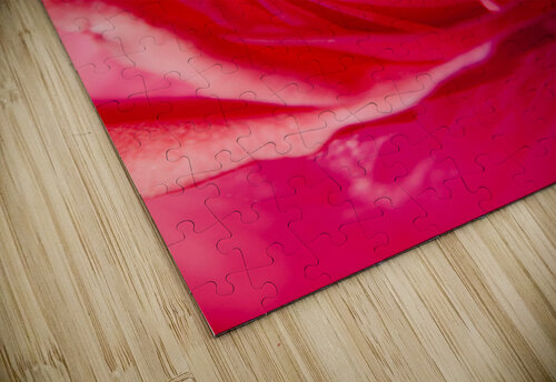 Intimate details Jorgo puzzle