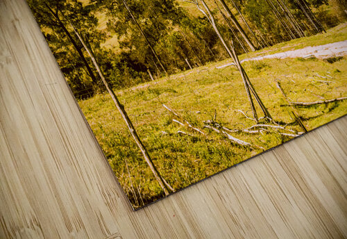 Bucolic backroads Jorgo puzzle