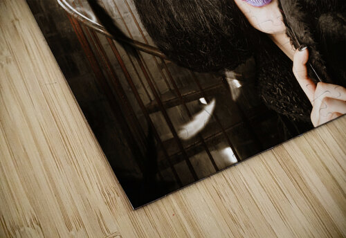 Feather carnival Jorgo puzzle