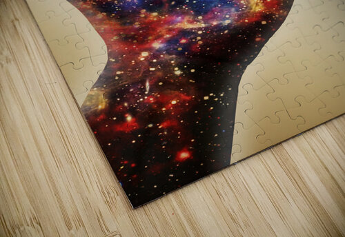 Conscious creator in awakening Jorgo puzzle