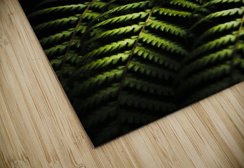 Nature in minimalism Jorgo puzzle