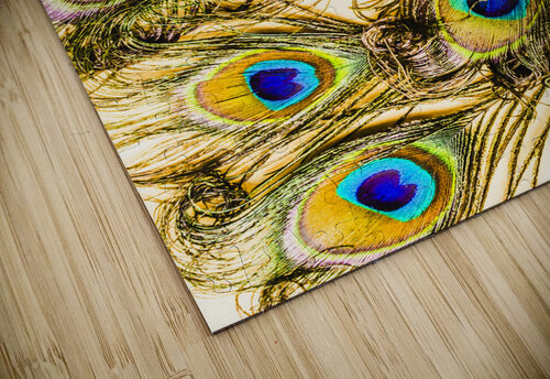 Peacock feathers still life Jorgo puzzle