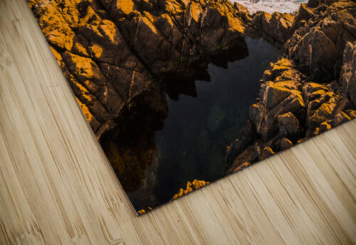 Splash of colour Jorgo puzzle