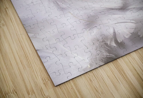 White on white Jorgo puzzle