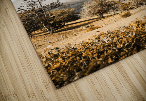 Australian Landscape Photo Of Maleny Hinterland Jorgo puzzle