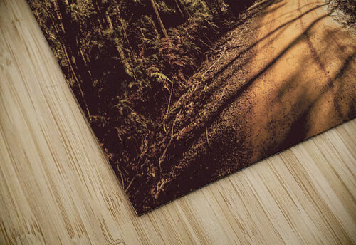 Off road trails Jorgo puzzle