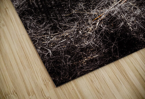 The not so great reset Jorgo puzzle