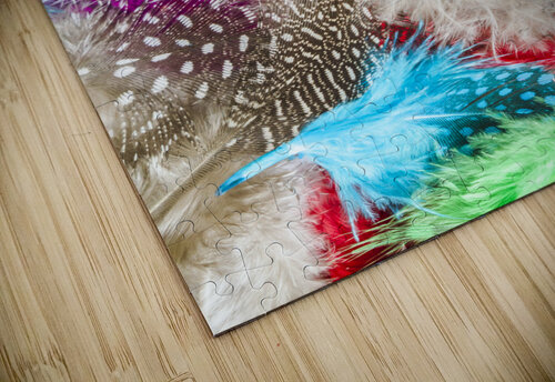 In quill colors Jorgo puzzle