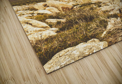 Muted mountain views Jorgo puzzle
