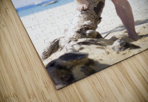 Travel Oasis Getaway Jorgo puzzle