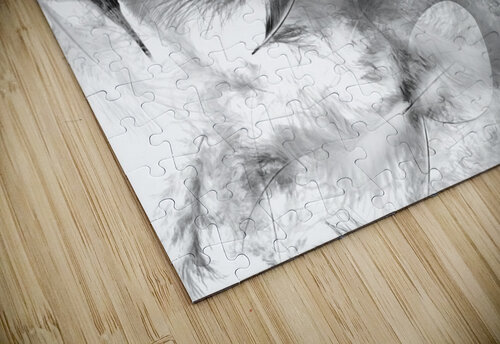 illusory design Jorgo puzzle