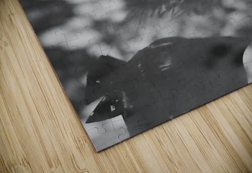 Dark black and white fashion art woman Jorgo puzzle