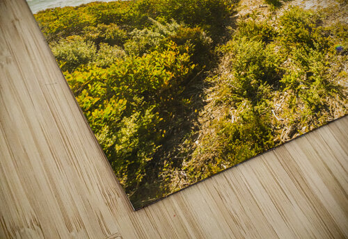 West Coast Way Jorgo puzzle