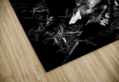 Country contrast Jorgo puzzle