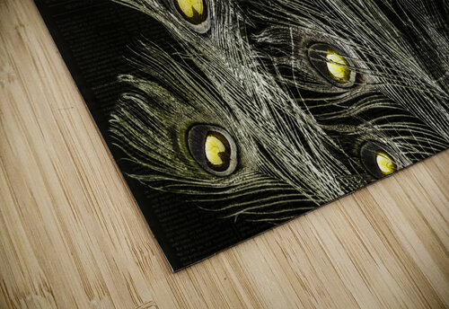 Of many eyes Jorgo puzzle