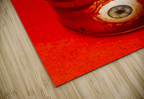 Everything you know is a lEye Jorgo puzzle