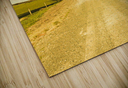 Road to green farming Jorgo puzzle