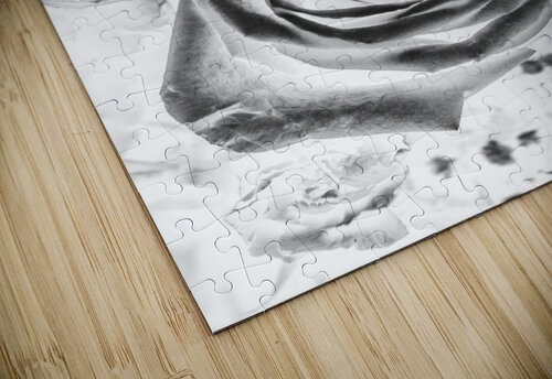 Harmonics inverted Jorgo puzzle