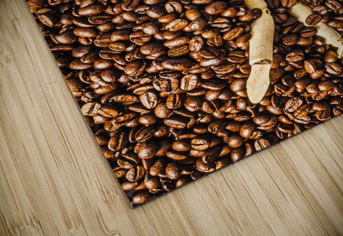 First wave Jorgo puzzle