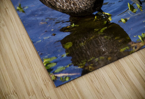 Duck Hunt Jorgo puzzle