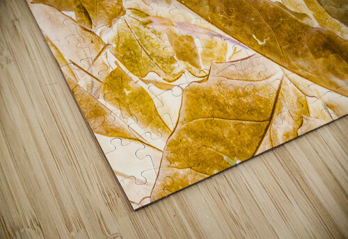 Seasonal gold Jorgo puzzle