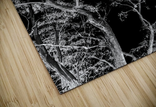 Tree dream Jorgo puzzle