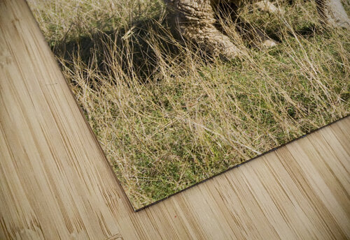 Farmyard Scene Jorgo puzzle