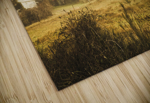 Quaint countryside scene of Glen Huon Jorgo puzzle