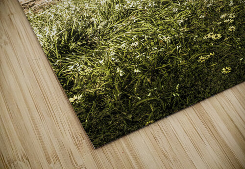 Scenic stony seashore Jorgo puzzle