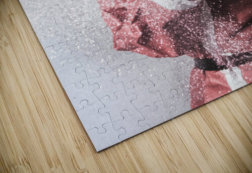 Magic of Christmas Jorgo puzzle