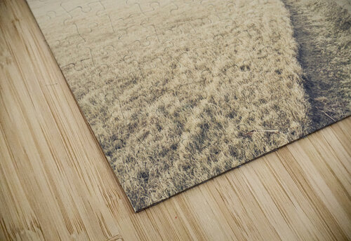 Winter Tasmania background Jorgo puzzle