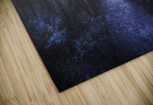 Mystery pathway Jorgo puzzle