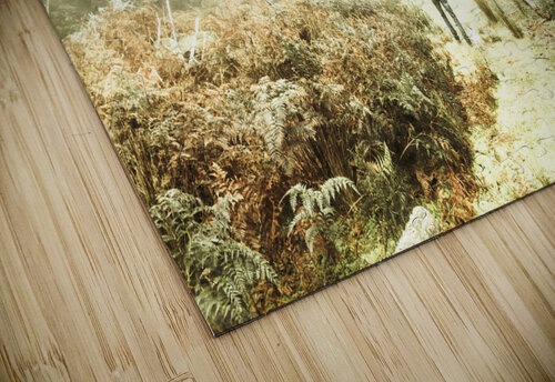 Mysterious trail Jorgo puzzle