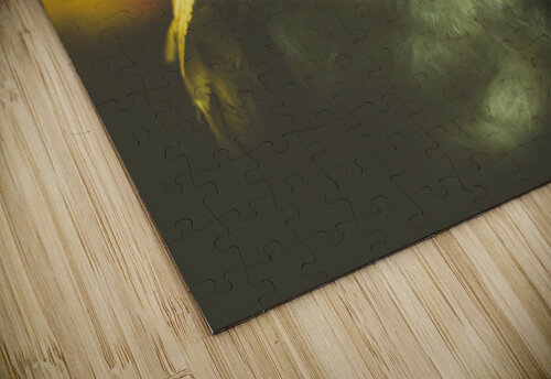 Night owl Jorgo puzzle