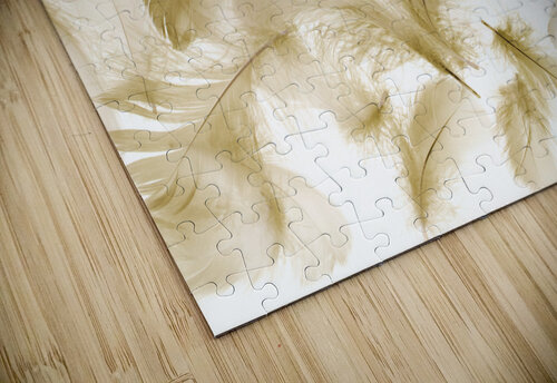 Beige buoyancy Jorgo puzzle