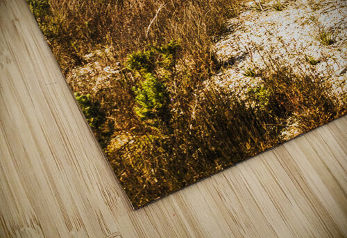 Rugged Australian bushland Jorgo puzzle