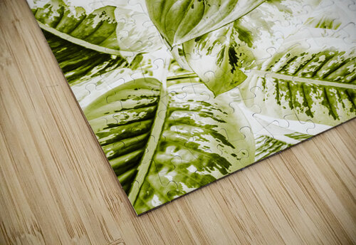Jungle greens Jorgo puzzle