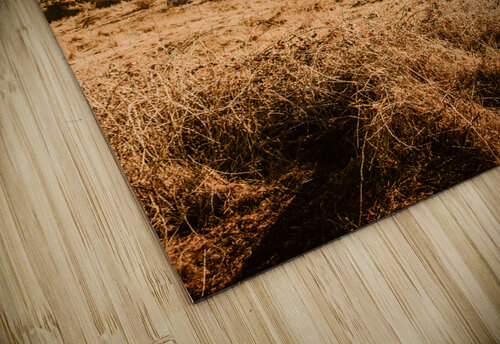 Scene from the outback Jorgo puzzle