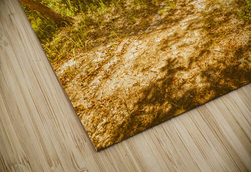 Island inland Jorgo puzzle